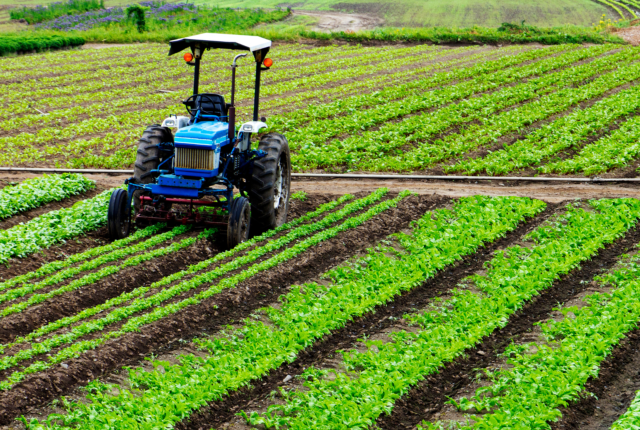 Autonomous vehicles, such as tractors and combines, can also be outfitted with AI technology to automate tasks such as planting, harvesting, and fertilization.